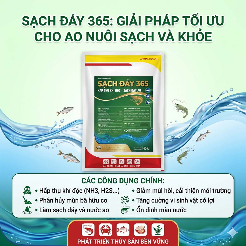 sach-day-365-su-cong-dung